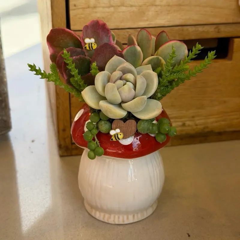 Mushroom Succulent Design Mushroom Succulent Design
