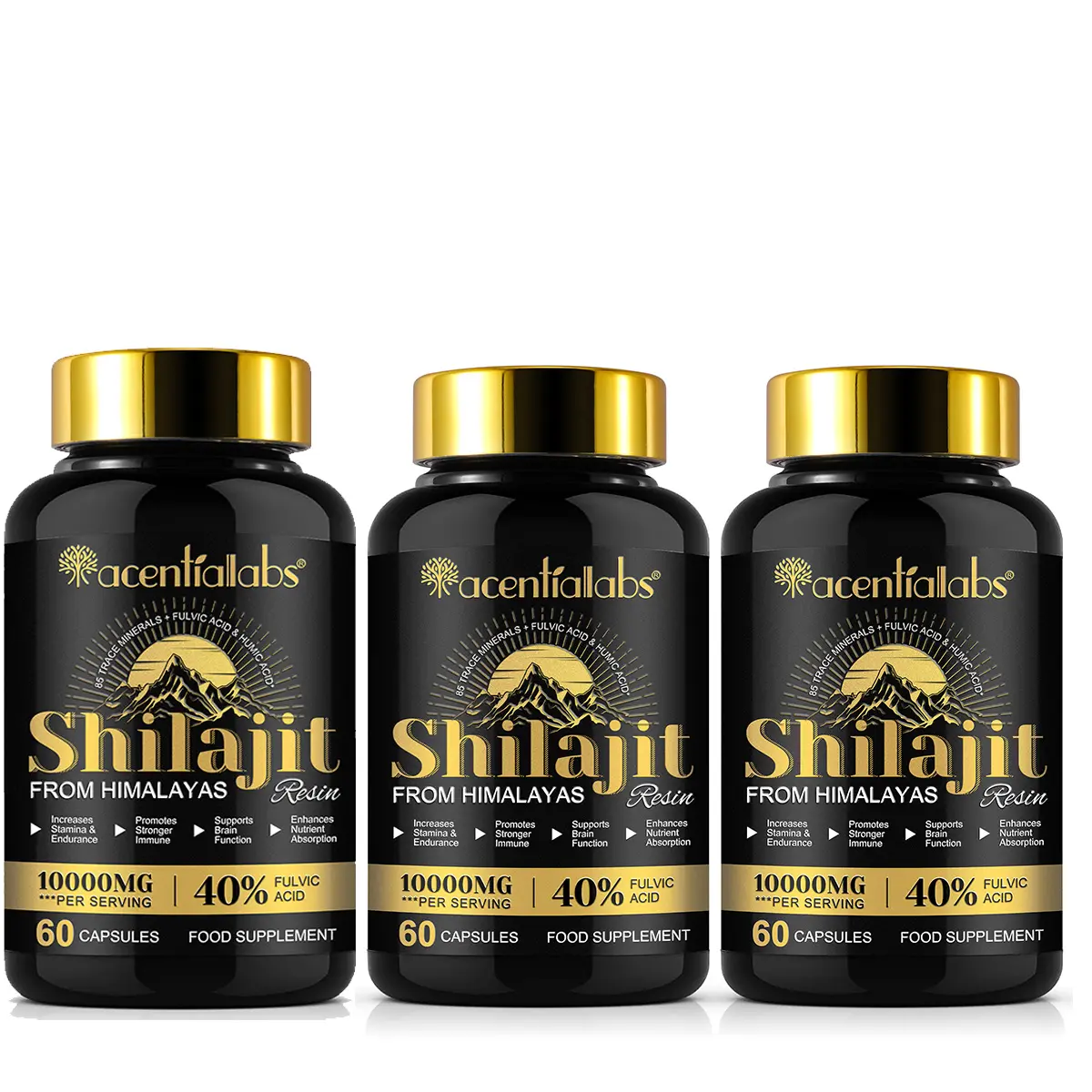 Shilajit Capsules Supplement-60 Capsules*3