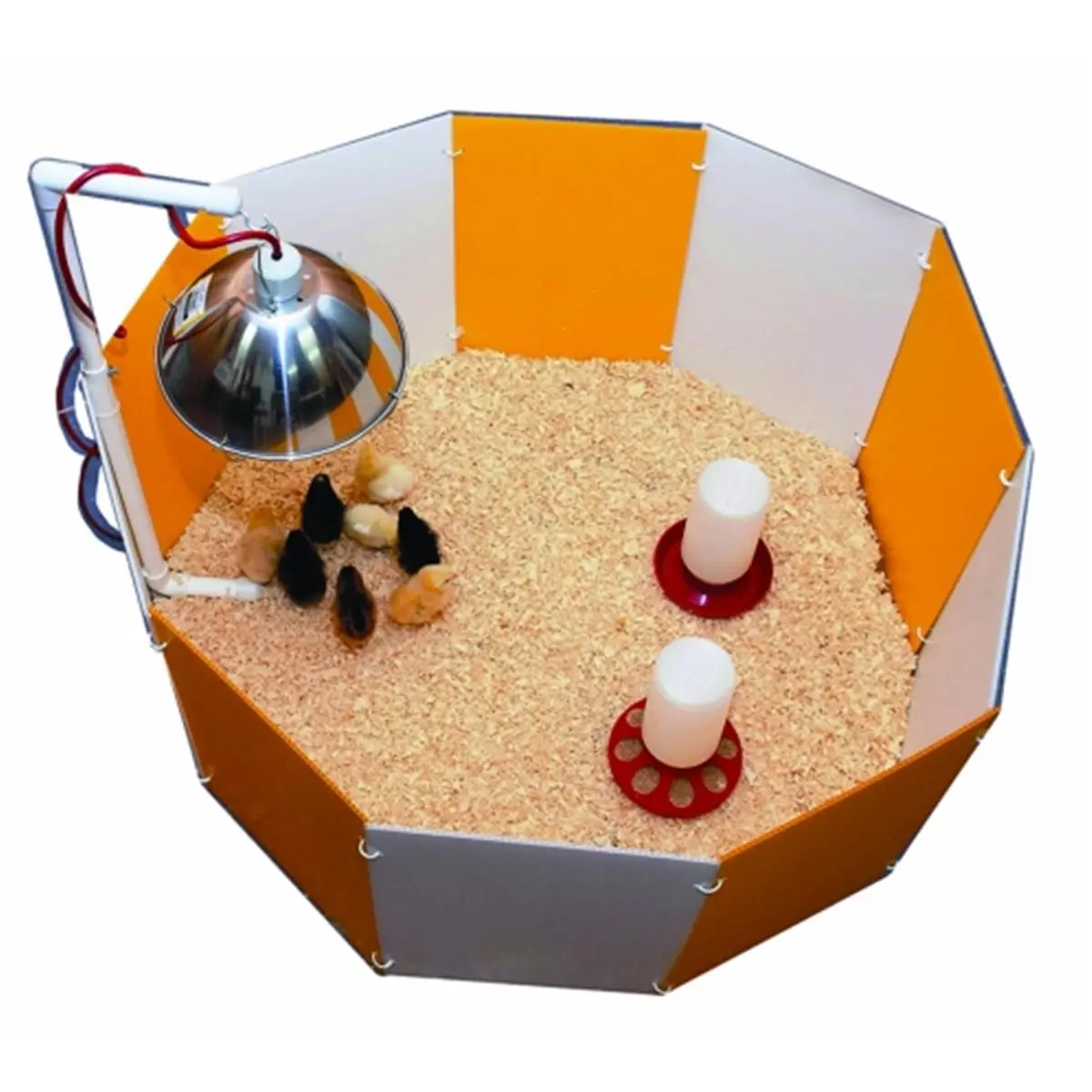 212 MAIN Orange & White 3700 Brooder Box - Chick Housing, 15-Chick Capacity, 3.5x18.75x12.75in, Adjustable Height Lamp Hanger, Durable Plastic Panels, Easy Setup, Folding Flat, Washable Reuse Bird Feeding Supply