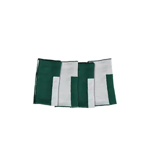 Misette Linen Embroidered Napkins Set Of 4 in Green