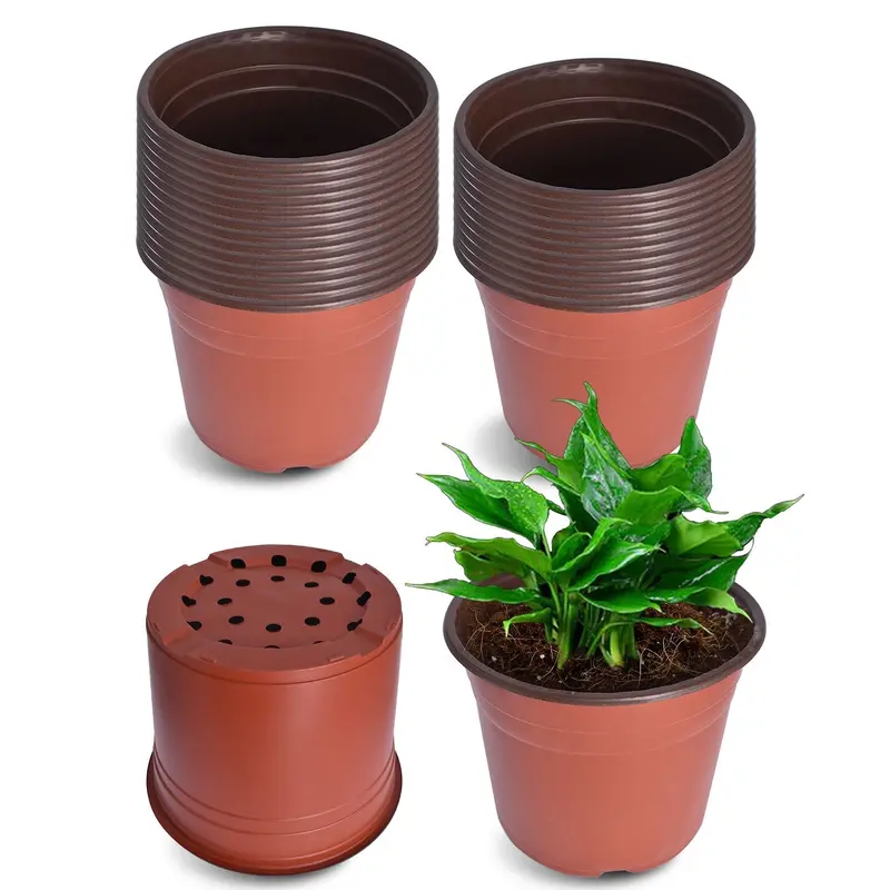 philodendron potting mix Philodendron Plant Potting Soil Mix, Special Blend for Heart Shape  Philodendron Plants Etc  Kurated Korner