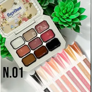 FlexOne Pat Ombre Gel Set palette or Nail Art ombre gel nail gel painting thick gel