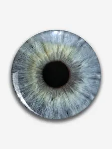 Cute Cartoon Pattern Pin Badge, Unique Plastic DIY Button, Creative Holiday Men Accessories for Jeans, T-Shirts, Backpacks & Hats