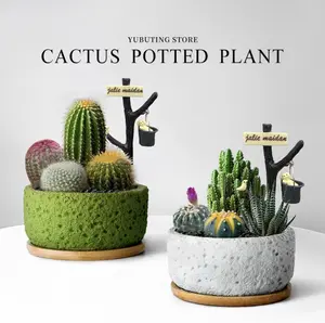 Garden Pot,Garden Planter,concrete flower pot / concrete planter,plant pot,home & garden decor,plant cultivation / plant growing,succulent plant / succulents,cactus,mini flower pot / mini planter,balcony / patio, garden / backyard,office desk,greenery