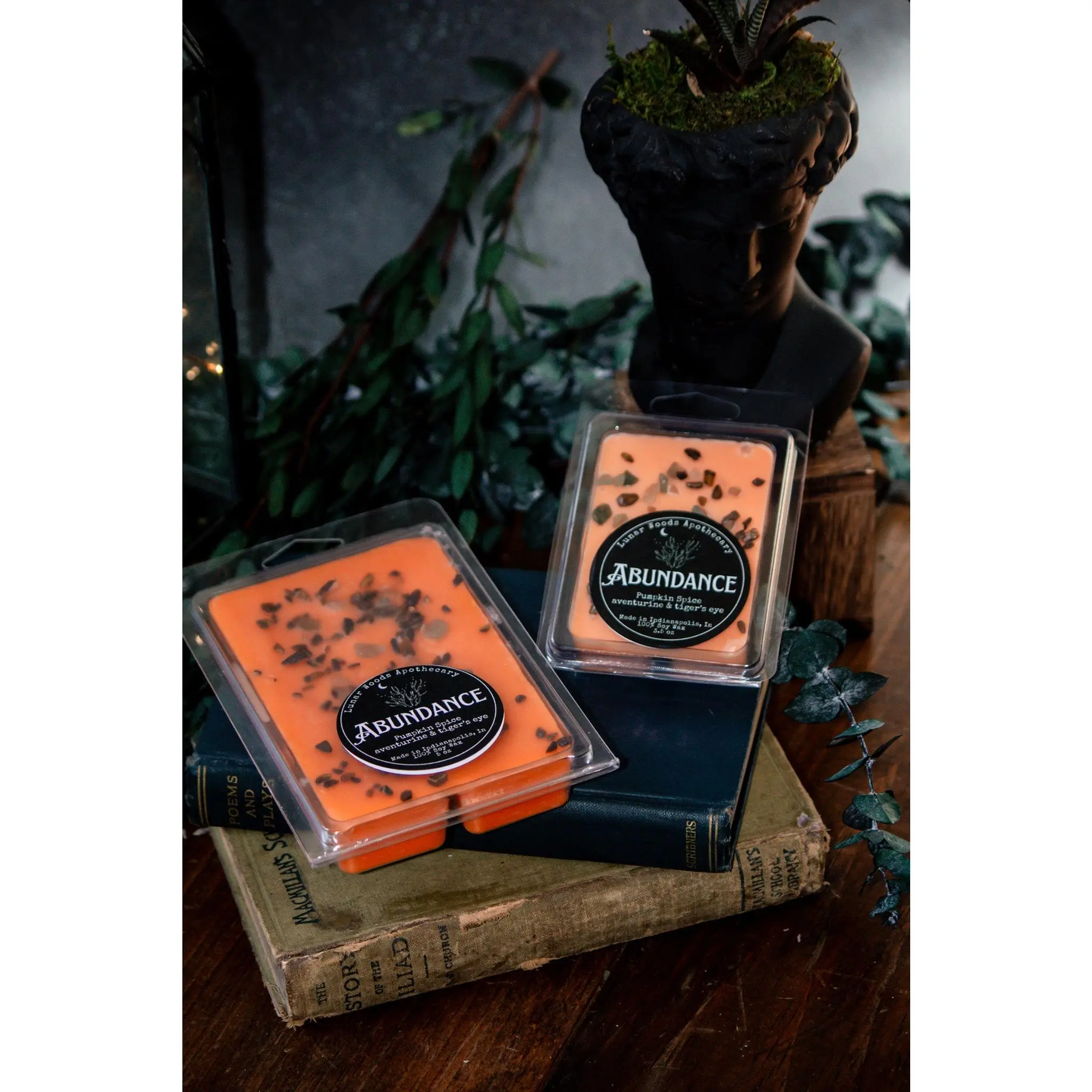 Abundance — Witchy Wax Melts