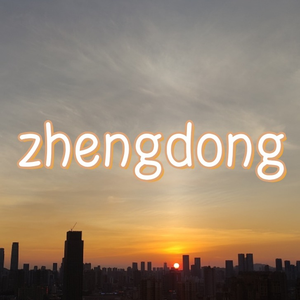 Zhengdong Store