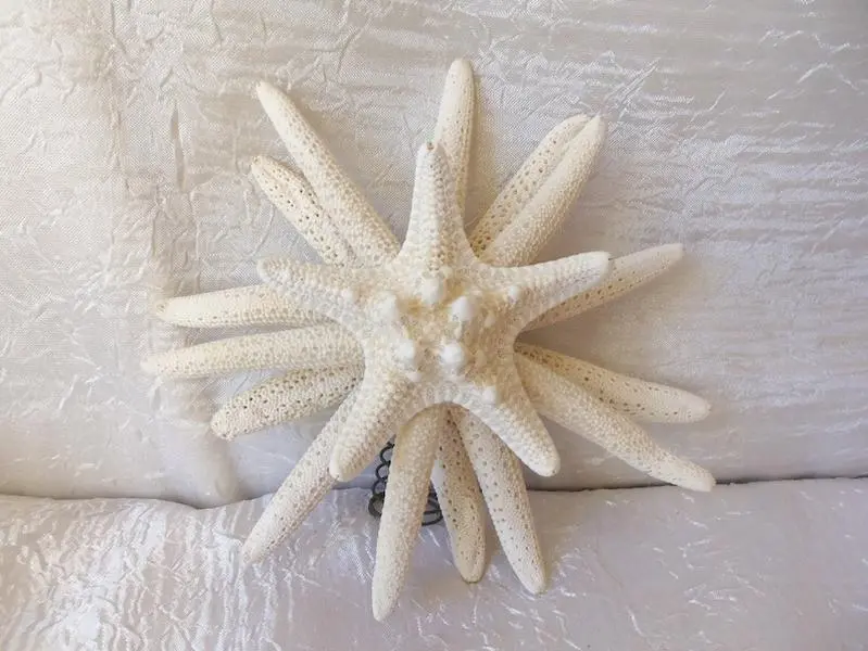 Starfish Tree Topper, Coastal, Nautical, Tree Topper, Christmas Tree Topper, Starfish Topper, Natural Starfish, Table Topper, 6 inches