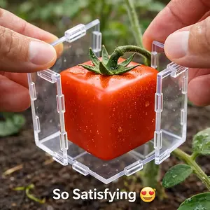 Portable Fruit Shaping Molds — Creative Square Tomato & Triangular Pear Shaping Boxes | Orchard Fruit & Vegetable Sculpting Tools | Transparent Acrylic DIY Growing Molds | Gardening & Floral Supplies