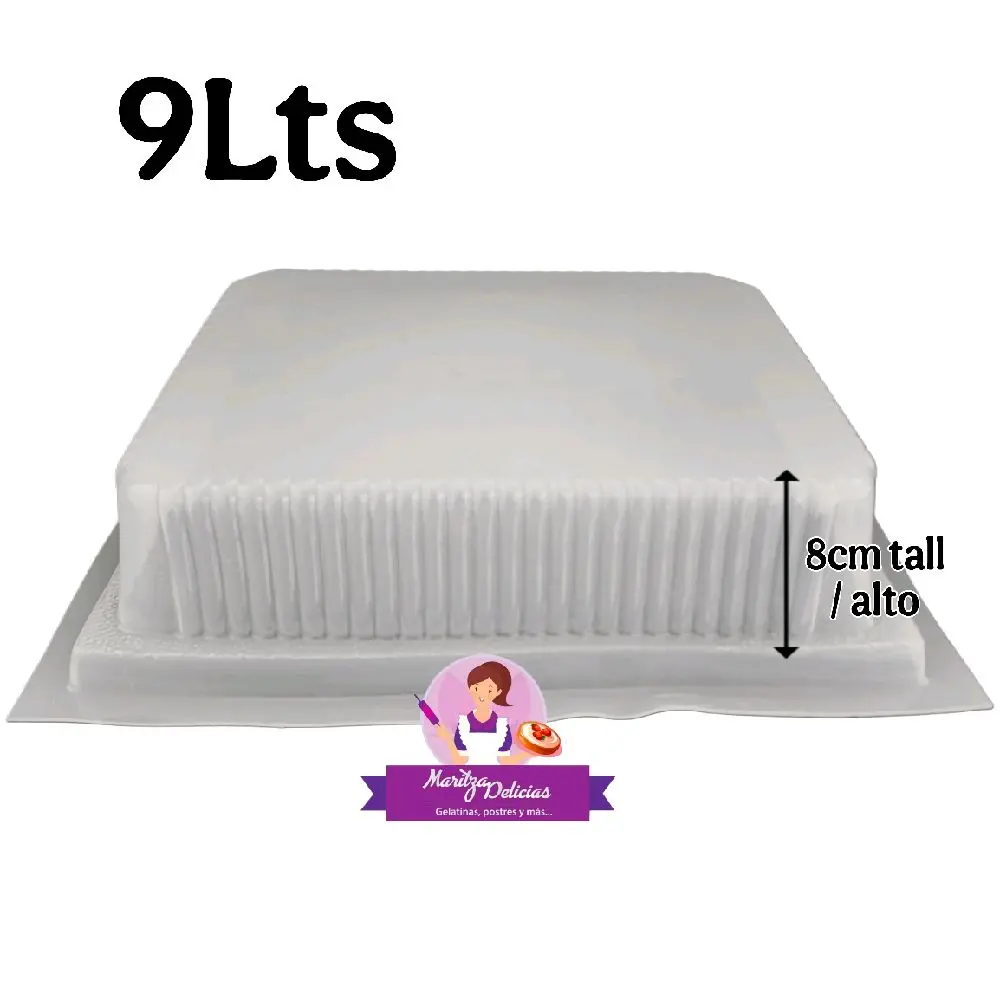 9 Liter Rectangle Jello Mold / Rectangular 9 Litros Molde Gelatina