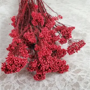 Light Red Preserved rice flower, flowers for bouquets, wedding flowers, filler, dried flowers  arrangements, Wedding decor, 19"-20"tall,