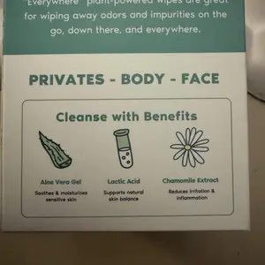 Everywhere Wipes - Odor Removing Travel Wipes For Intimate Area And Body - Unscented