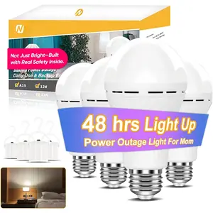 LITE  Rechargeable Light Bulbs A19, Light Up to 48 hrs,  Operated Light Bulb, 5000K E26 LED Bulb,  Lights for Home Power Failure