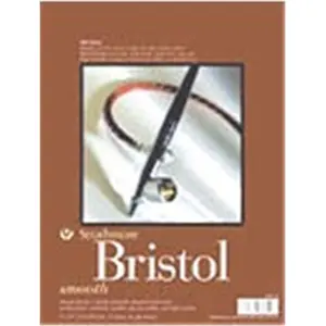 212 MAIN 300 Series Vellum Finish Bristol Board - Acid-Free Drawing Surface for Charcoal, Airbrush, Pastel, Pencil, Light Washes, 22.5x28.5 in Office Stationery Art Supplies for Computers & Office Equipment