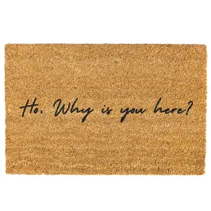 Ho why is you here Door mat, Funny, Decorative Mat, Who You Are, Welcome Mat, Funny Welcome Mat, Go Away Non-slip, Indoor, Outdoor, 10Merch