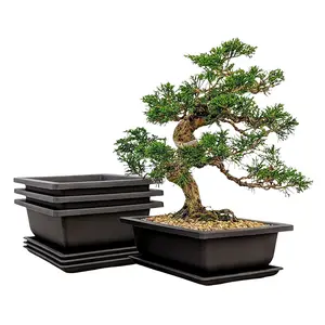 Bonsai Training Pots with Humidity Trays 3-Pack