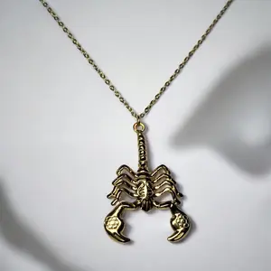 Scorpion Chain 15-17" Stainless Steel Necklace with Detailed Scorpion Pendant for Men and Women