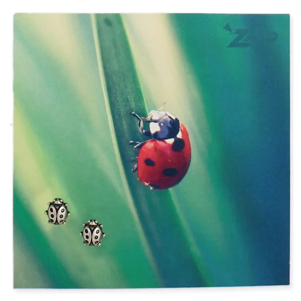 Zad Jewelry Ladybug Embellishment Stud Earrings - Silver Fashionable Accessories, Gift-Ready Jewelry Gift Set, Fashionable Jewelry Accessories