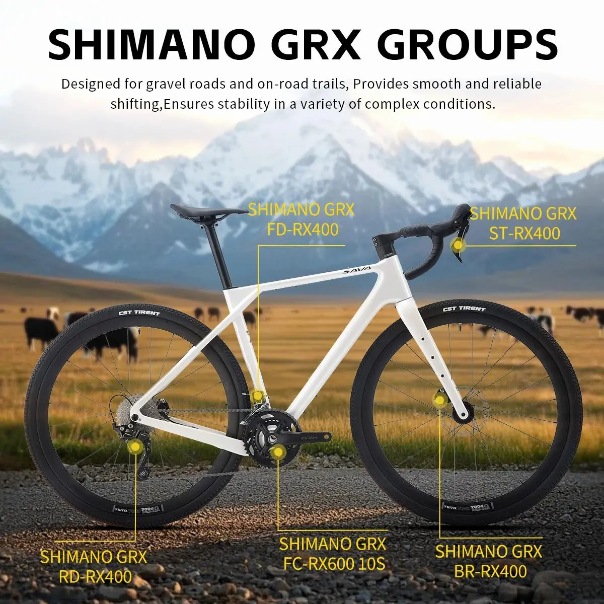 SAVA S16 Gravel Road Bike GRX 600 12 Speed Carbon Fiber Road Bike for All Terrain Bike Racing 700C*40C