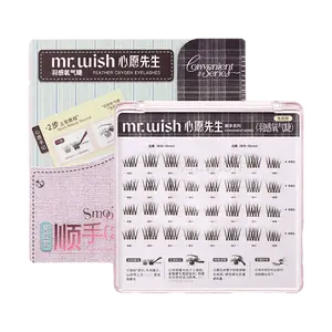 MR.WISH 32 Clusters Wispy Faux Eyelashes - Glue-Free Reusable Natural Look Individual Lashes