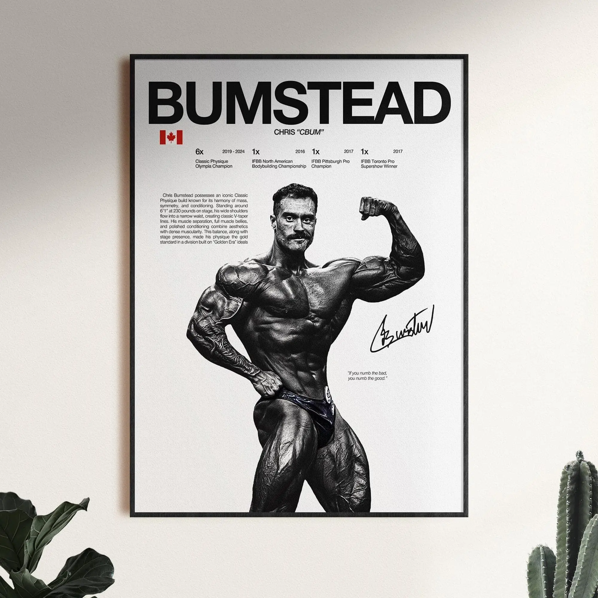 Chris Bumstead Poster, Bodybuilding Wall Print, Mr Olympia Poster, Gym Fitness Motivation Decor Gift, Gym Art ( Unframed - Print Only )