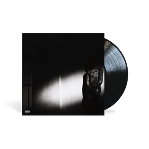 NO STYLIST Vinyl