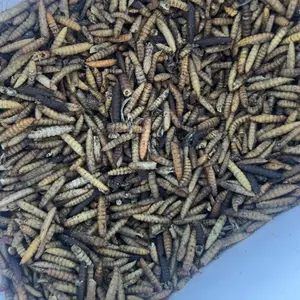 LuckyQworms 11LBS/10LBS /5LBS/20LBS/22LBS Dried Black Soldier Fly Larvae Chicken Treats, Dried BSFL Meal Worms for Chickens Hens Bluebirds Hamsters Turtles Fish Hedgehogs High Protein Pourltry Worms Pet Food for Reptile Rodent Daily Feed Treats