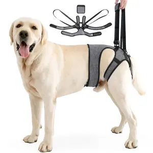 Adjustable Rear Leg Support Harness for Dogs, Breathable Soft Fabric, Suitable for Medium to Large Dogs, Model Xinghao Qnx-001