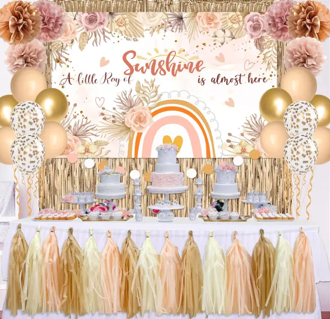 Boho Baby Shower Decorations for Girl A Little Ray of Sunshine Daisy Boho Backdrop Blush Pink Balloons Dusty Rose Paper PomPoms Champagne Fringe Curtain for Boho Rainbow Birthday Baby Shower Decor