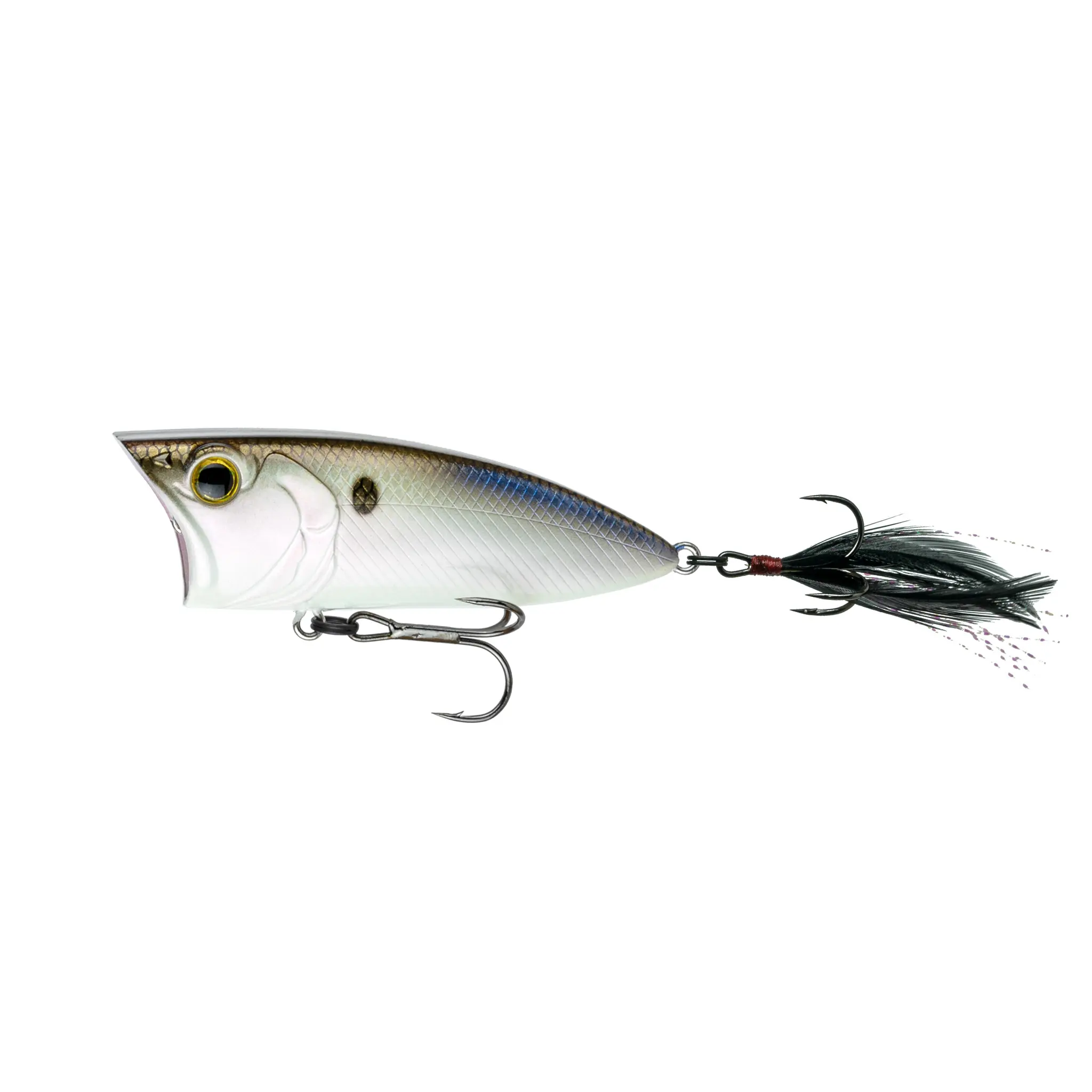 Splashback Popper