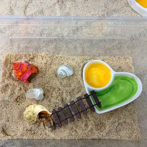 Hermit Crab Habitat Set: Replacement Shells + Heart Dual Feeder + Climbing Ladder + Mini Conch Hideout| Reptile Terrarium Decor（Acrylic case not included）