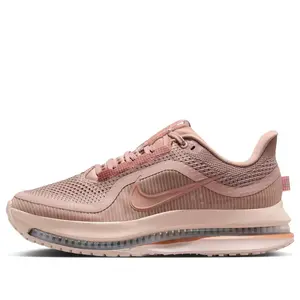 (WMNS) Nike Air Zoom Pegasus Premium 'Metallic Rose Gold' HQ2593-603