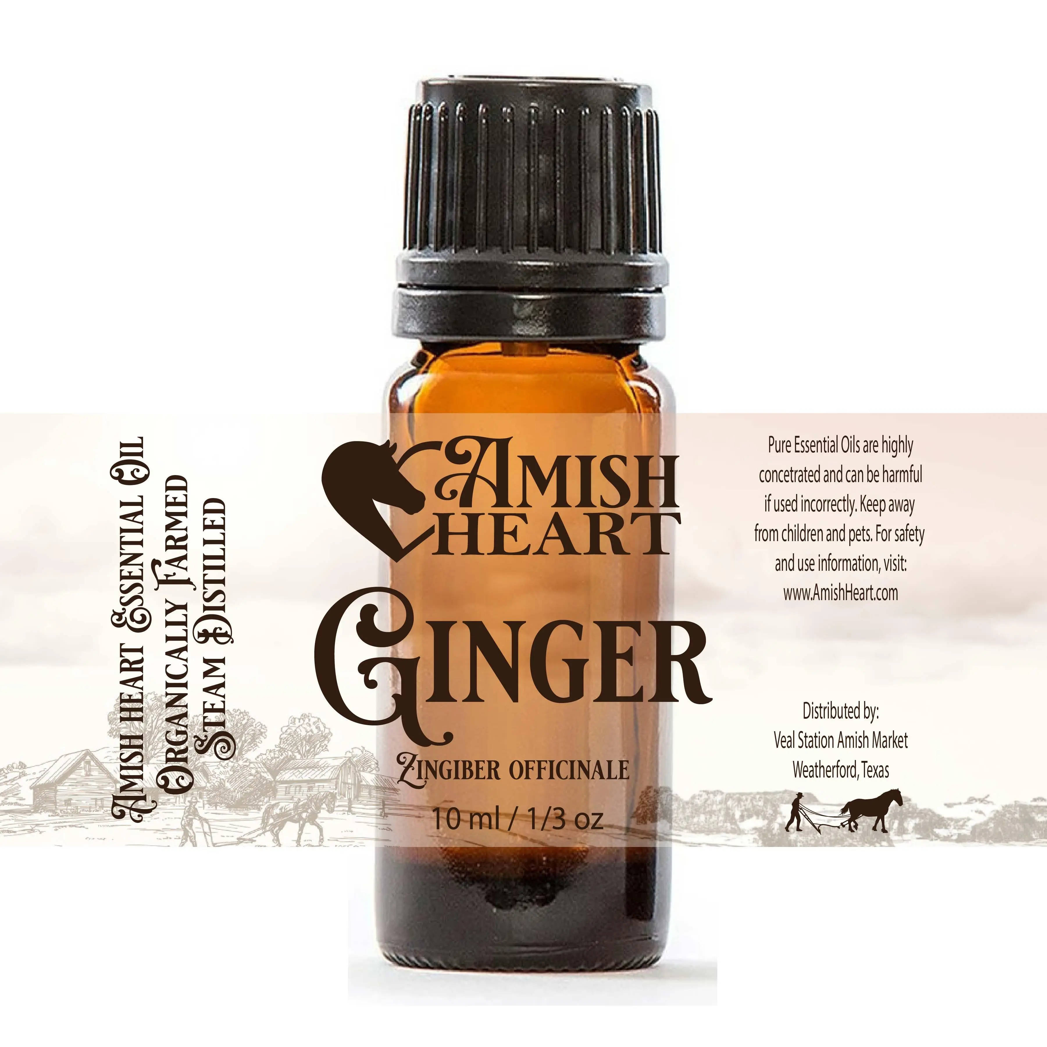 Ginger Essential Oil | Amish Heart | Organic & Pure