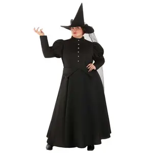Plus Size Witch Costume for Women