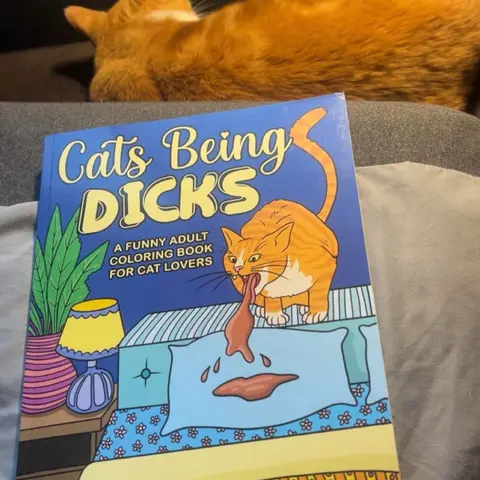 Cats Being Dicks: Funny Adult Coloring Book with Stress Relief, Relaxation, Funny Illustrations, Art Therapy, Humor for Cat Lovers - Paperback