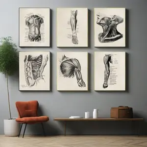 6pcs/set Unframed Human Body Anatomy Poster Skeleton Artistic Vintage Artwork Medical Clinic Wall Picture Organ Muscle Canvas Painting Prints Room Decor