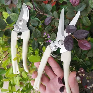 Stainless Steel Floral Pruning Shears, Garden Branch Trimming Scissors, Home Grafting Gardening Tools, Fruit Tree Bypass Clippers, Tree Trimmer
