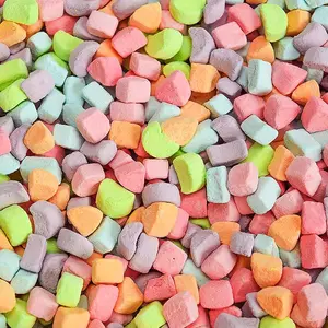 16 oz Assorted Dehydrated Marshmallow Bites, Sweet Snack Candy in Resealable Bag