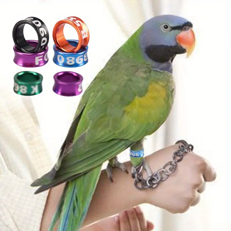 10pcs Flight Training Tool Cockatiel Foot Ring, Chick Chick with Ring, Identification Ring
