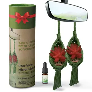 2 Pcs Set Hanging Succulent Pots with Essential Oil And Artificial Succulents For Home and Auto Decor