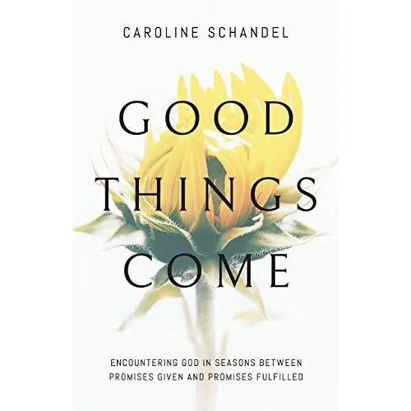 USED Book - Good Things Come: Encountering God in Seasons Between Promises Given and Promises Fulfilled by Caroline Schandel (Paperback) - english