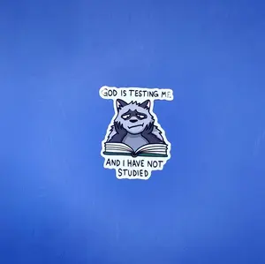 Studied Raccoon Sticker | Vinyl Sticker | Funny sticker