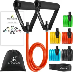 Stackable Resistance Bands Set with Door Anchor