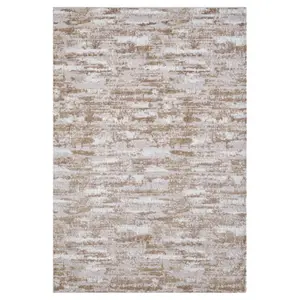 Collection Shimmer Skin Woven Area Rug