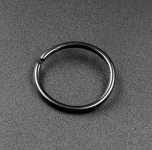Titanium Hinged Segment Ring