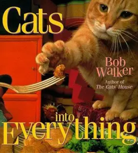 USED-Cats Into Everything by Bob Walker (Hardcover)
