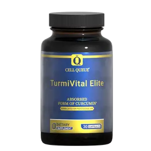 Cellqueue Turmeric Supplement, Theracurmin Turmeric Curcumin for Antioxidant Immune Joint Health Bone Muscles Liver & Brain Support - Healthcare, Edible
