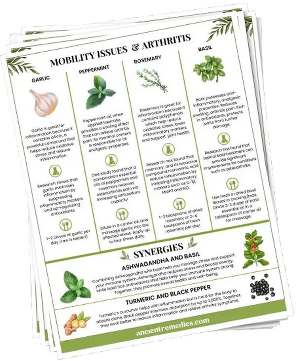 Ancient Remedies Recipe Cards
