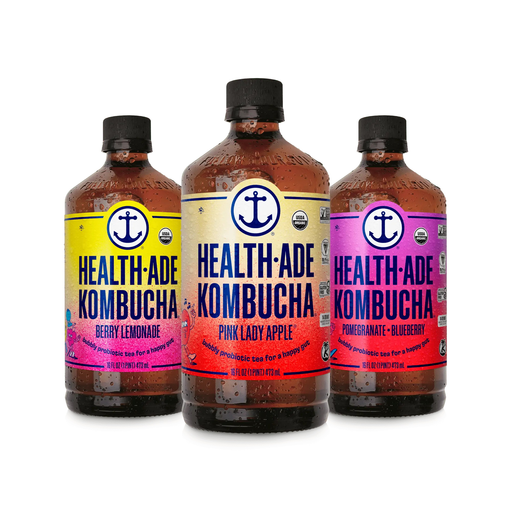 Fan Favorite Kombucha Variety Pack Fan Favorite Kombucha Variety Pack