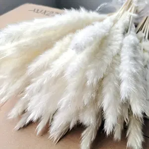45pcs Dried Pampas Grass Plumes - Lush Bohemian Decor Long-Lasting Tall Flowers for Romantic Wedding & Home Arrangements Natural Lagurus Ovatus Faux Reed Bunch