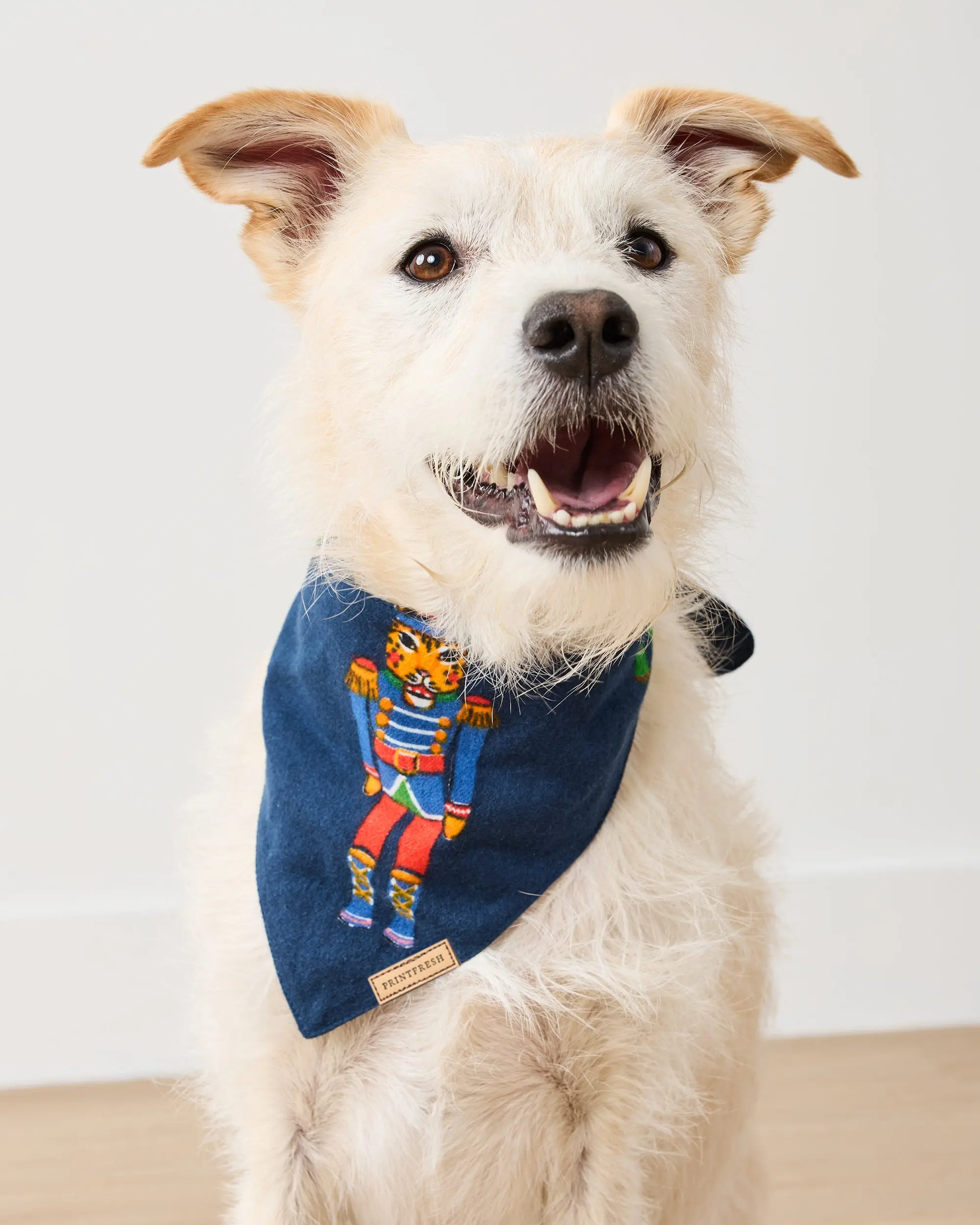 Leopard Nutcrackers - Midweight Flannel Pet Bandana - Navy